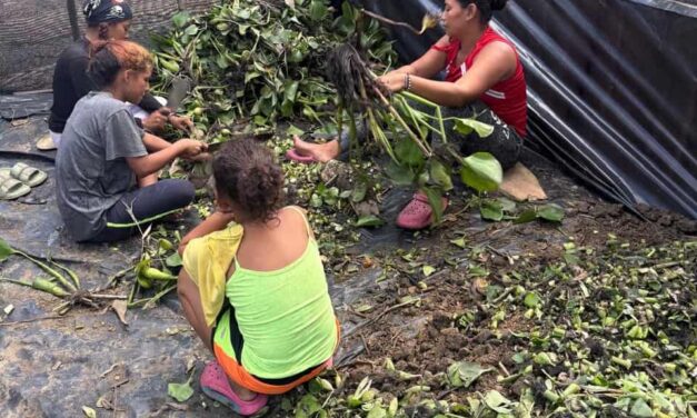 CORPAMAG impulsa proyecto productivo y de restauración en el Caño Clarín Nuevo, Ciénaga Grande de Santa Marta