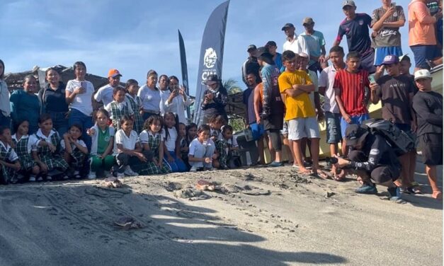 CORPAMAG y Fundación CIM Caribe liberan  41 Tortugas Marinas y realizan jornada de sensibilización en Tasajera