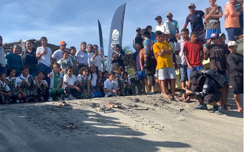 CORPAMAG y Fundación CIM Caribe liberan  41 Tortugas Marinas y realizan jornada de sensibilización en Tasajera