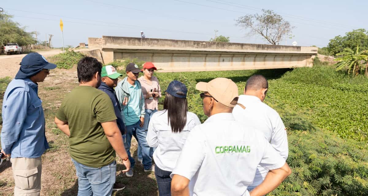 CORPAMAG lidera recorrido técnico en los caños Renegado y Condazo para impulsar la recuperación hidráulica de la  Ciénaga Grande