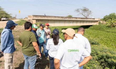 CORPAMAG lidera recorrido técnico en los caños Renegado y Condazo para impulsar la recuperación hidráulica de la  Ciénaga Grande
