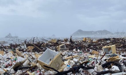 La gente de UNIMAGDALENA termina de poner a tono la  Playa Los Cocos