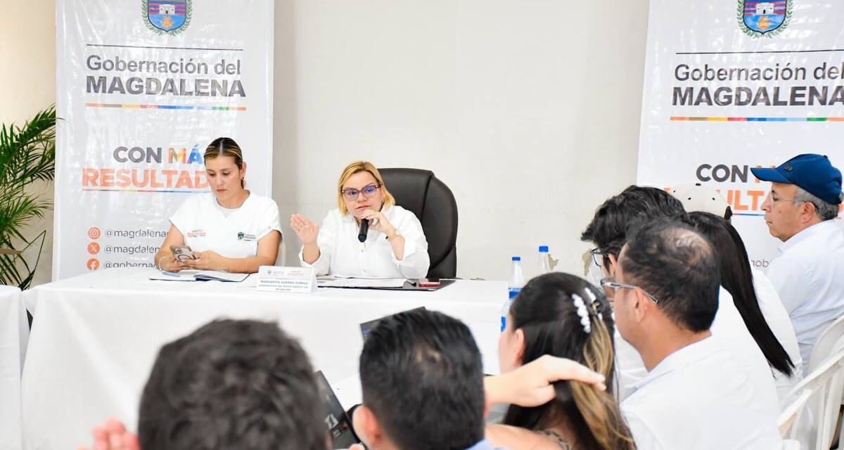 Ante la compleja situación de erosión Ferry de Salamina operará en punto provisional