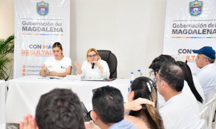 Ante la compleja situación de erosión Ferry de Salamina operará en punto provisional