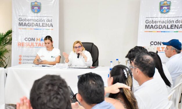 Ante la compleja situación de erosión Ferry de Salamina operará en punto provisional