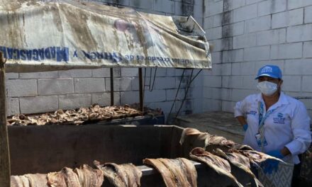 Con motivo de la Semana Santa, Alcaldía vigila comercialización y da recomendaciones en materia de pescado