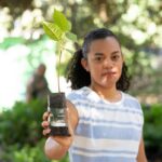 «Que este Domingo de Ramos protejamos la Palma de Cera»: CORPAMAG y Diócesis de  Santa Marta