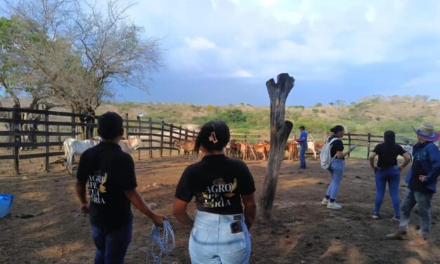 Futuros ingenieros agropecuarios de los campus universitarios subregionales fortalecen su formación con días de prácticas