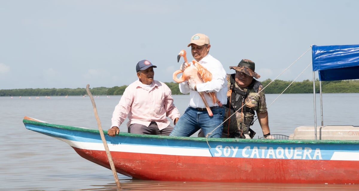 CORPAMAG conmemoró el Día de la Tierra y liberó 8 Flamencos Rosados en la Ciénaga Grande de Santa Marta