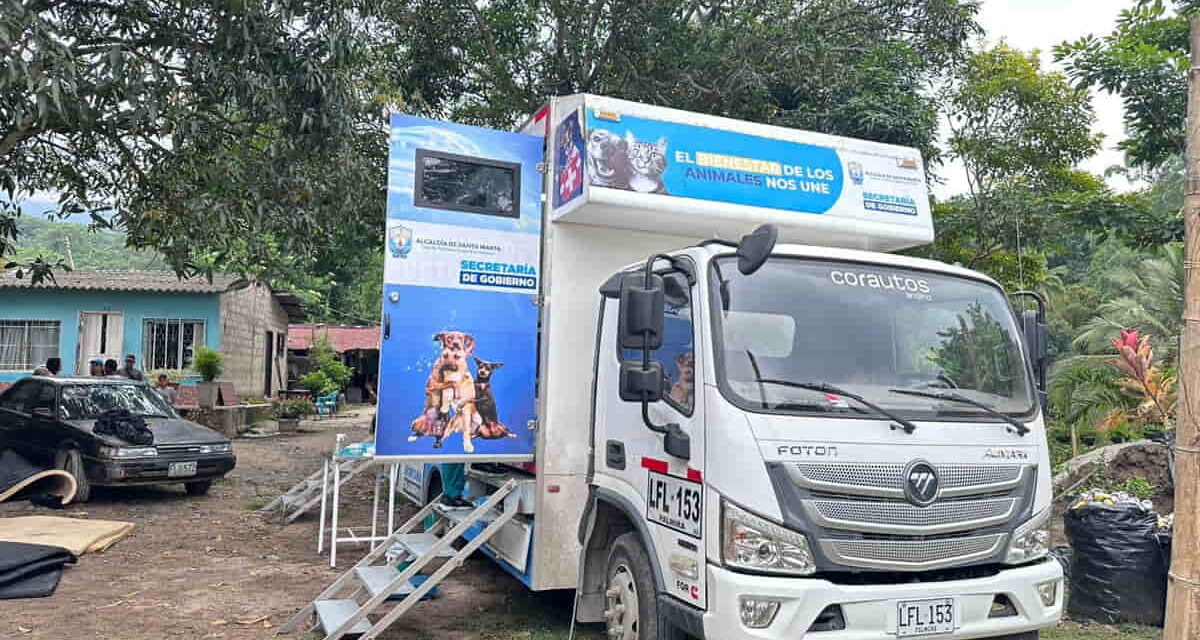 Alcaldía de Santa Marta reactiva programa de esterilización con meta de 8.000 animales en 2026