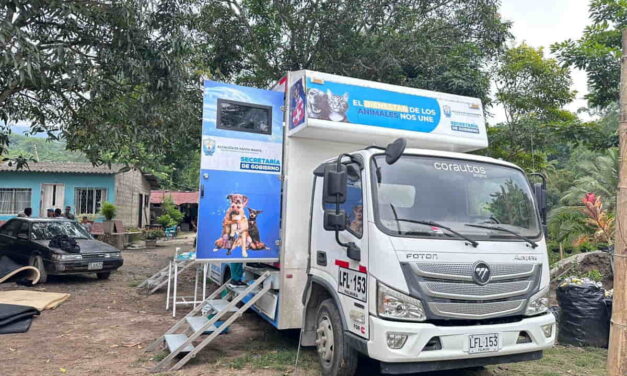 Alcaldía de Santa Marta reactiva programa de esterilización con meta de 8.000 animales en 2026