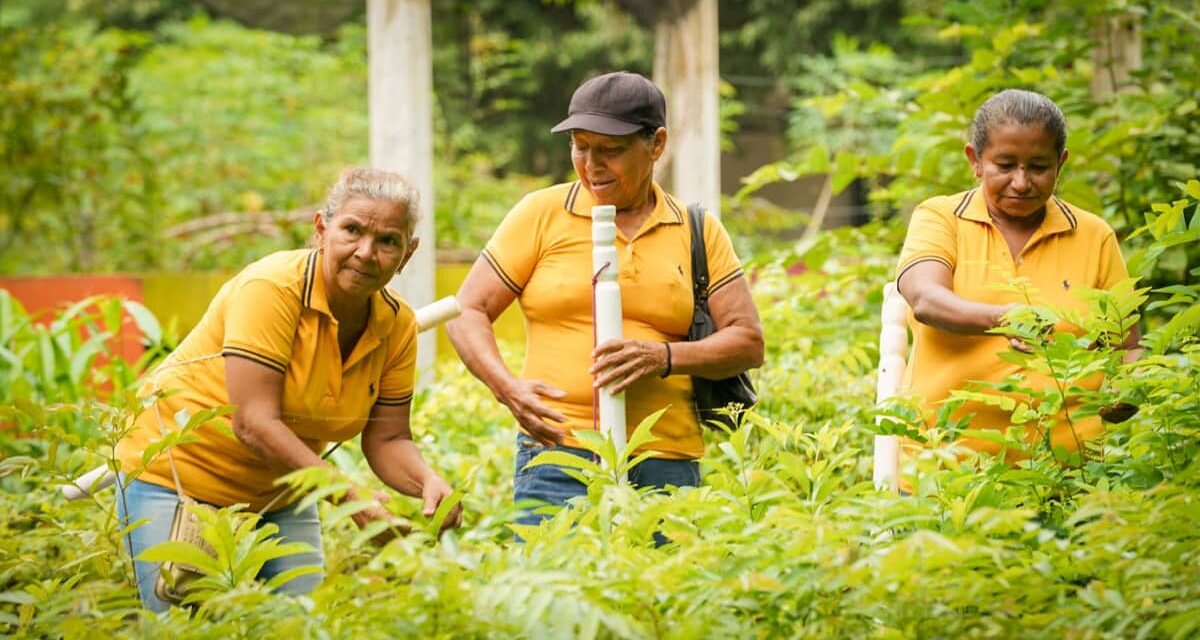ANT ha entregado a mujeres rurales del Caribe alrededor de 15.000 hectáreas formalizadas que fortalecen su liderazgo y autonomía