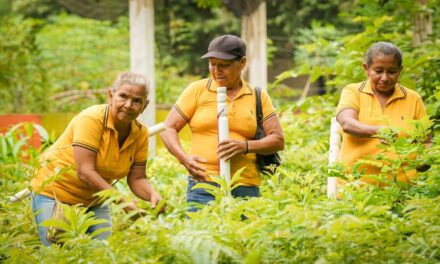 ANT ha entregado a mujeres rurales del Caribe alrededor de 15.000 hectáreas formalizadas que fortalecen su liderazgo y autonomía
