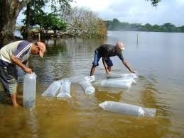 Con una inversión de más de $662 millones, Gobernación abre convocatoria para fortalecer el sector pesquero con las “Brigadas Pesqueras”