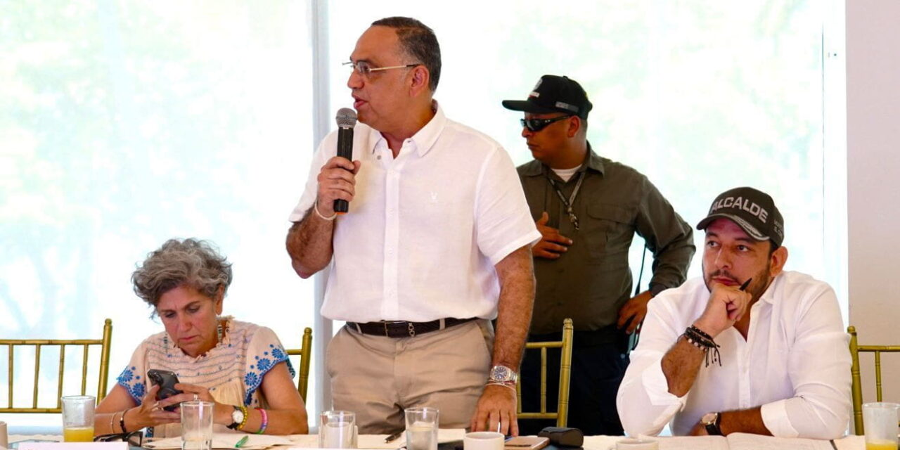 “Podemos llevar este batallón a zonas rojas de Santa Marta, pero si no actuamos, señor ministro, no pasará nada”: Pinedo a Sánchez