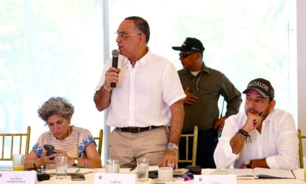 “Podemos llevar este batallón a zonas rojas de Santa Marta, pero si no actuamos, señor ministro, no pasará nada”: Pinedo a Sánchez