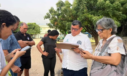 Alcaldía de Santa Marta adelantó tala de emergencia en la Ciudadela 29 de Julio