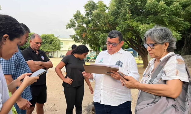 Alcaldía de Santa Marta adelantó tala de emergencia en la Ciudadela 29 de Julio