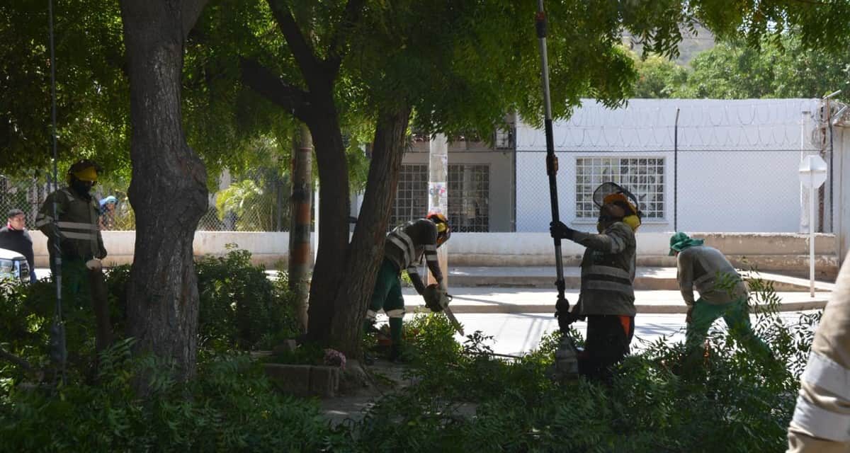 Alcaldía lideró jornadas de limpieza y recuperación ambiental en el río Gaira y El Pando