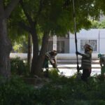 Alcaldía lideró jornadas de limpieza y recuperación ambiental en el río Gaira y El Pando