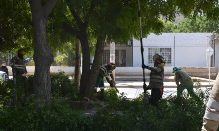 Alcaldía lideró jornadas de limpieza y recuperación ambiental en el río Gaira y El Pando