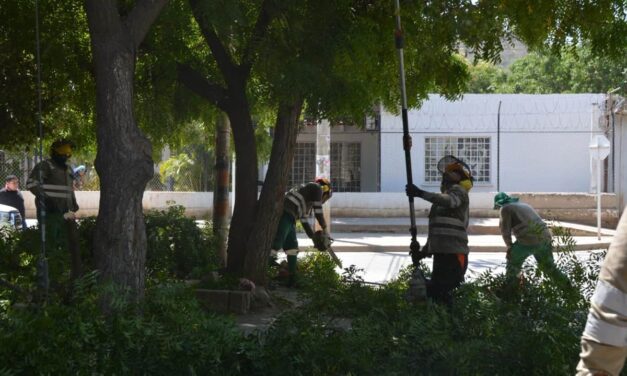 Alcaldía lideró jornadas de limpieza y recuperación ambiental en el río Gaira y El Pando
