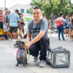 Gobierno Pinedo inicia jornadas de esterilización animal: Gaira fue el primer sector beneficiado con más de 100 atenciones