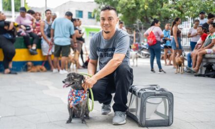 Gobierno Pinedo inicia jornadas de esterilización animal: Gaira fue el primer sector beneficiado con más de 100 atenciones