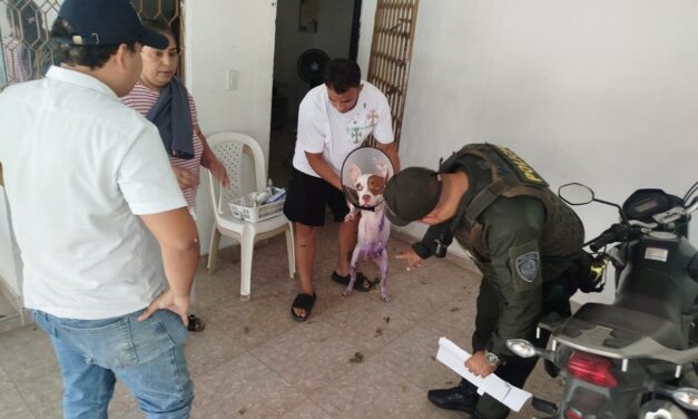 Por afectación a dos caninos, Alcaldía abre investigación