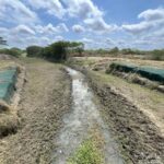 ‘El Niño’, disminuye caudal del río Magdalena y afecta ingreso del agua a los caños de la Ciénaga Grande en el área de Remolino