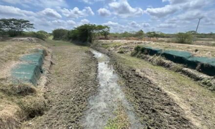 ‘El Niño’, disminuye caudal del río Magdalena y afecta ingreso del agua a los caños de la Ciénaga Grande en el área de Remolino