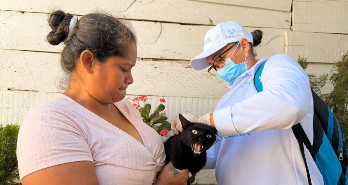 Más de 7 mil perros y gatos vacunados contra la rabia: Gobierno Pinedo fortalece las jornadas masivas