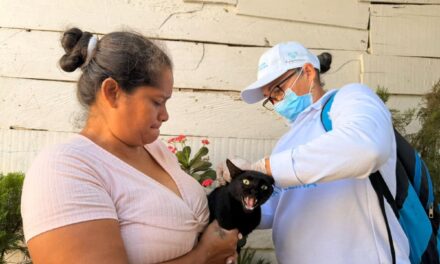Más de 7 mil perros y gatos vacunados contra la rabia: Gobierno Pinedo fortalece las jornadas masivas