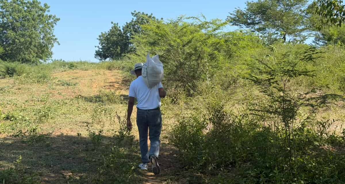 Después de cincuenta años de resistencia, la tierra que defendió con la vida finalmente abrió sus brazos para recibir a Amir Torres