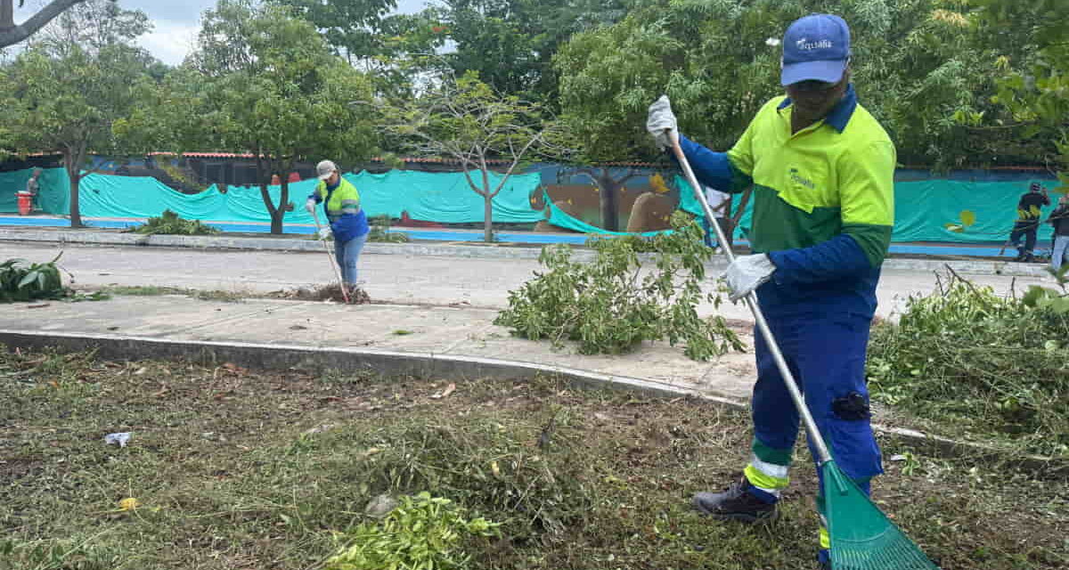 AQUALIA sembró árboles, limpió playas y movilizó comunidades en el Día Mundial del Medio Ambiente