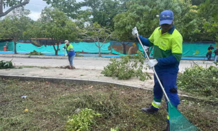 AQUALIA sembró árboles, limpió playas y movilizó comunidades en el Día Mundial del Medio Ambiente