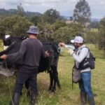 Colombia ha inmunizado contra fiebre aftosa 14,4 millones de bovinos y bufalinos