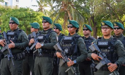 Fiesta del Mar 2026 y su primer eslabón: La seguridad