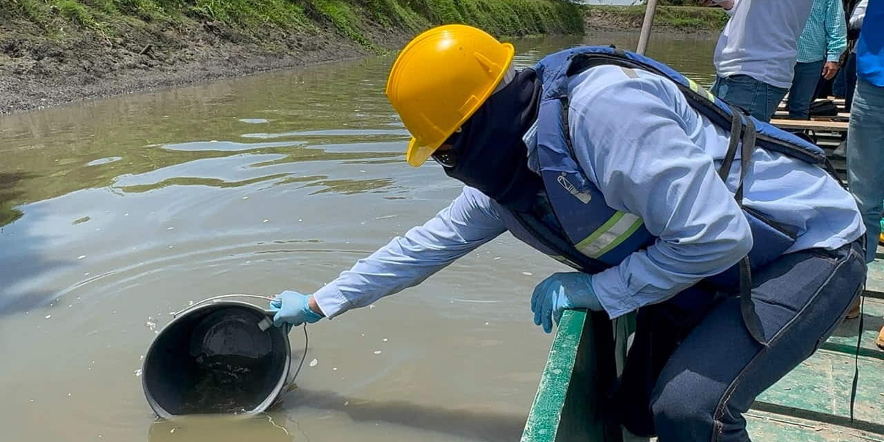 Comisión técnica de  CORPAMAG investiga mortandad de peces en el caño Peñoncito de San Zenón