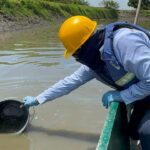 Comisión técnica de  CORPAMAG investiga mortandad de peces en el caño Peñoncito de San Zenón