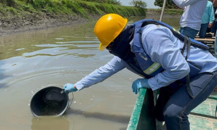 Comisión técnica de  CORPAMAG investiga mortandad de peces en el caño Peñoncito de San Zenón