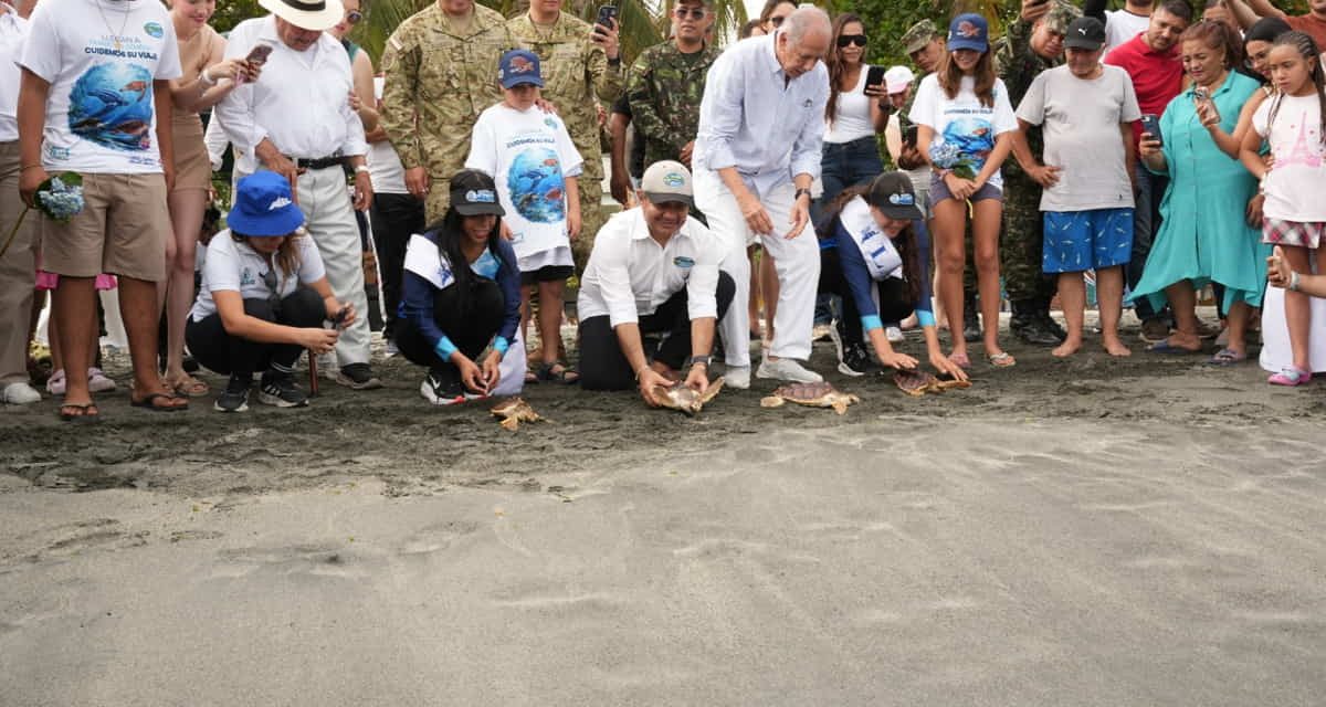En honor a los 501 años de Santa Marta CORPAMAG, Fundación Museo del Mar y Ejército Nacional liberan 25 tortugas marinas al lado de capitanas del mar