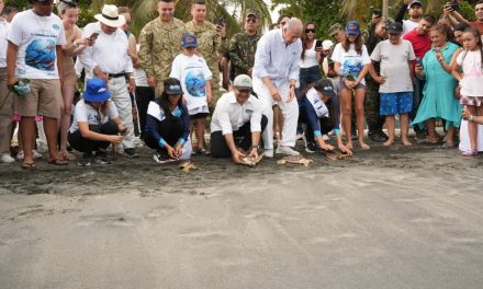 En honor a los 501 años de Santa Marta CORPAMAG, Fundación Museo del Mar y Ejército Nacional liberan 25 tortugas marinas al lado de capitanas del mar