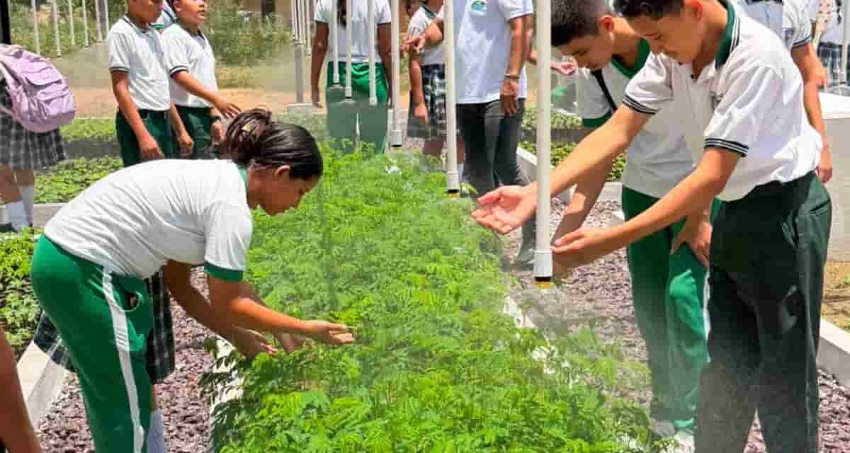 CORPAMAG entregó vivero Bioclimático en la IED de Nueva Granada listos a reforestar y por la educación ambiental