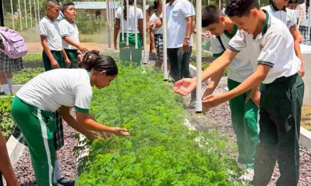 CORPAMAG entregó vivero Bioclimático en la IED de Nueva Granada listos a reforestar y por la educación ambiental