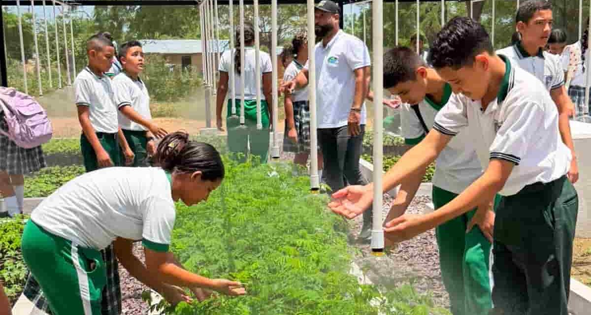 CORPAMAG entregó vivero Bioclimático en la IED de Nueva Granada listos a reforestar y por la educación ambiental