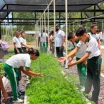 CORPAMAG entregó vivero Bioclimático en la IED de Nueva Granada listos a reforestar y por la educación ambiental