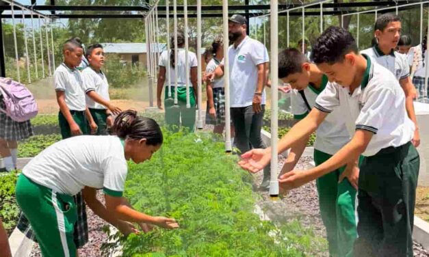 CORPAMAG entregó vivero Bioclimático en la IED de Nueva Granada listos a reforestar y por la educación ambiental