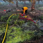 CORPAMAG y bomberos de Sitionuevo refuerzan acciones de prevención contra incendios en la Ciénaga Grande y en el Vía Parque Isla de Salamanca