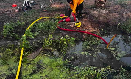 CORPAMAG y bomberos de Sitionuevo refuerzan acciones de prevención contra incendios en la Ciénaga Grande y en el Vía Parque Isla de Salamanca